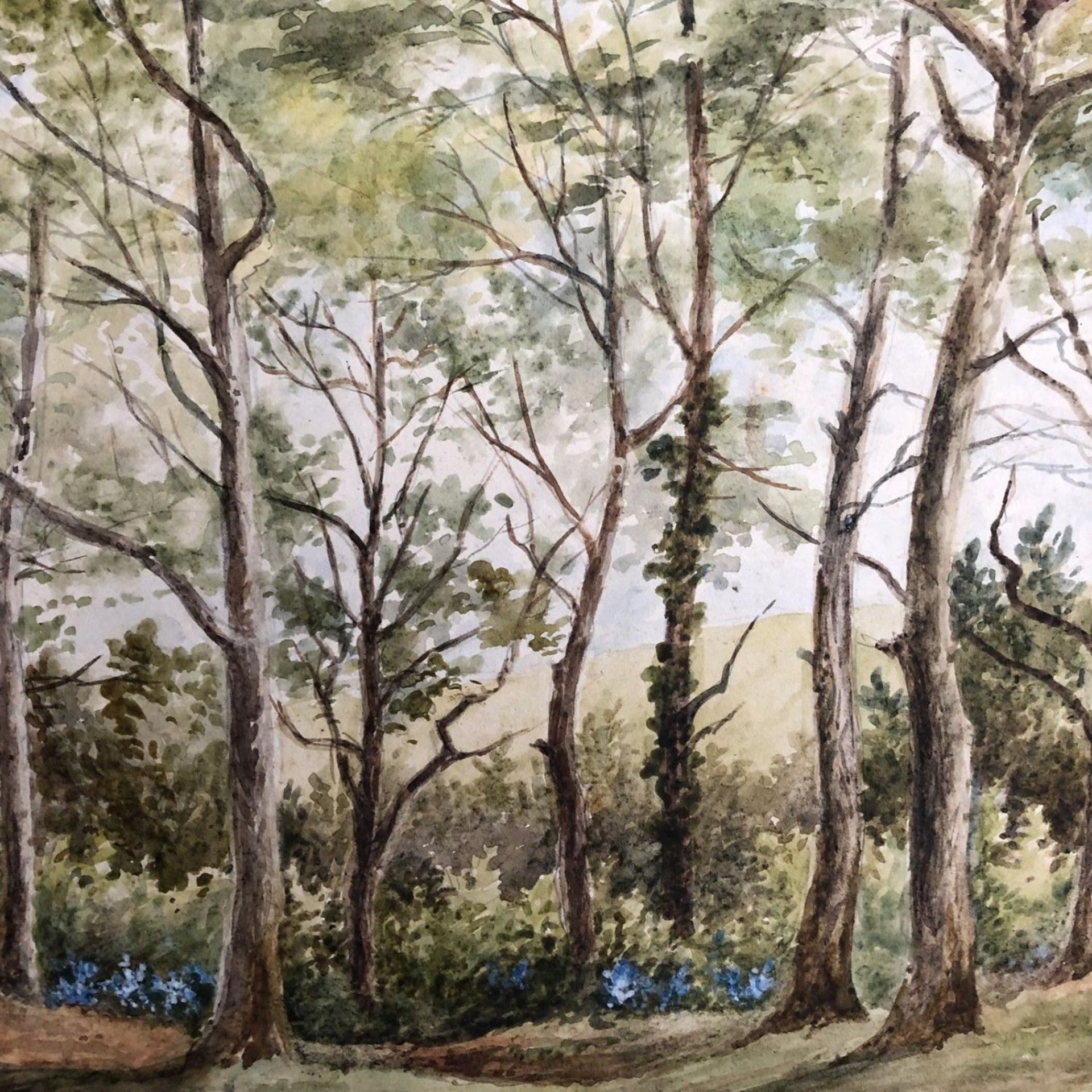 Original Watercolour Landscape Painting "In a Wood at Waterlooville" E Haslehurst - Image 3 of 5