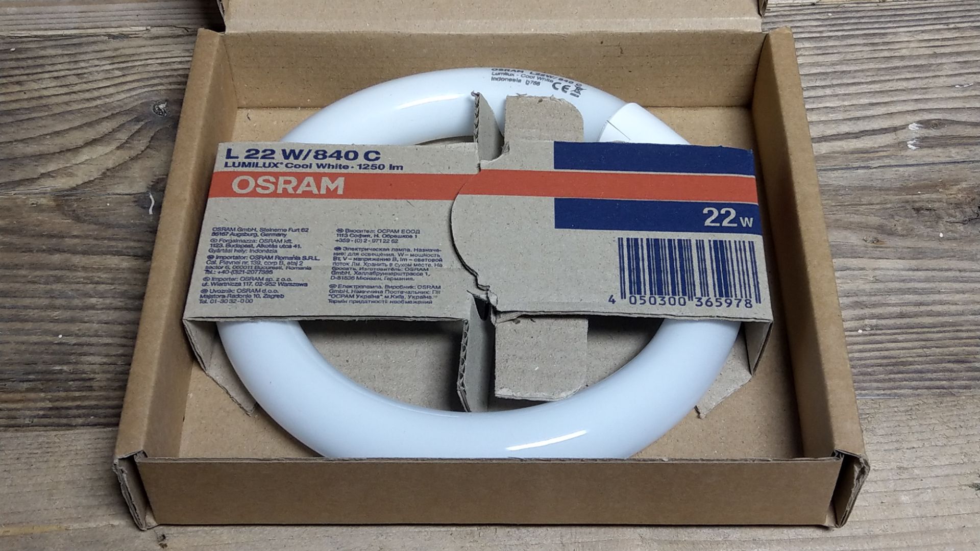 1x Osram L22W/840 C