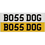 BO55 DOG (currently assigned to a vehicle)