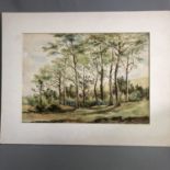 Original Watercolour Landscape Painting ""In a Wood at Waterlooville"" E Haslehurst