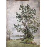 Pretty Vintage Watercolour Painting Unsigned - Tree in the Garden Kingsley House