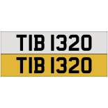 TIB 1320