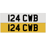 124 CWB on DVLA retention, ready to transfer.