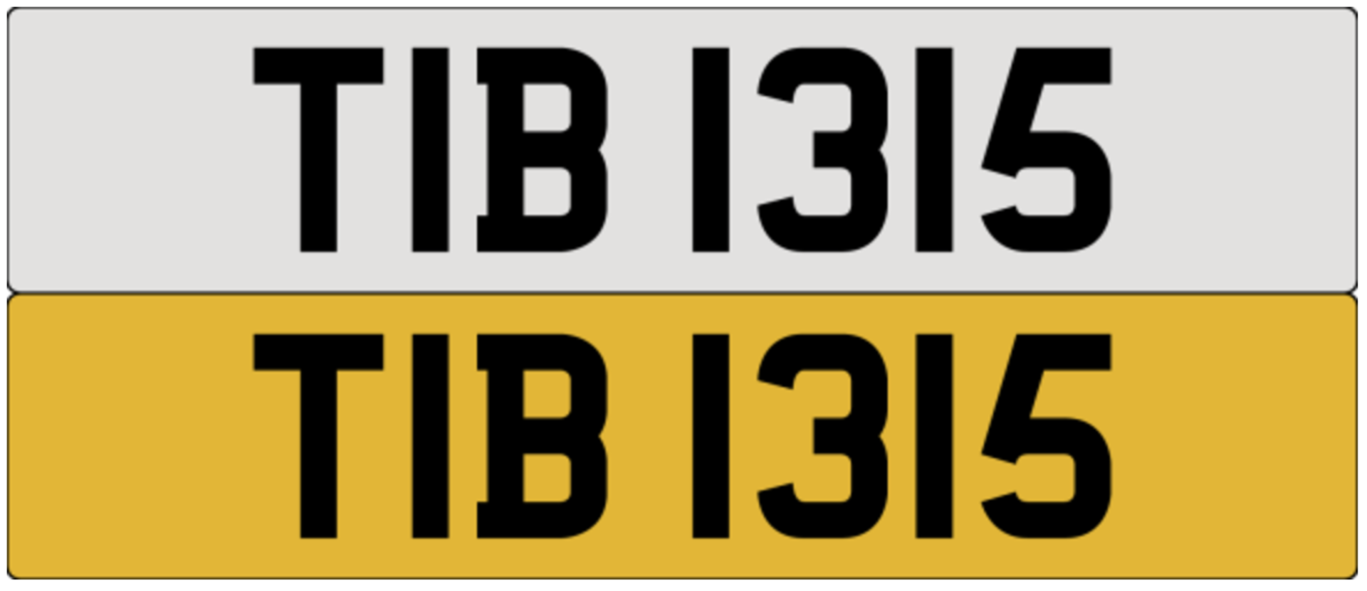 TIB 1315