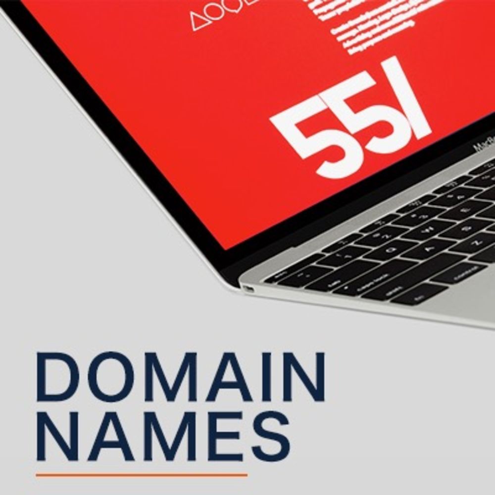 Domain Names Auction