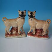 Pair Staffordshire pottery pug dogs