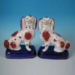 Pair Staffordshire pottery spaniels, russet & white on blue bases
