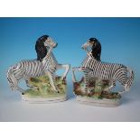 Pair Staffordshire pottery Zebra figures