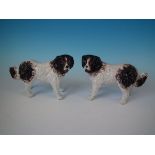 Pair Staffordshire Pottery dogs - St. Bernards