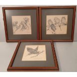 Vintage Art 3 x Pencil Sketch Pictures of Bears & Birds Framed Signed G Shephard. Each picture