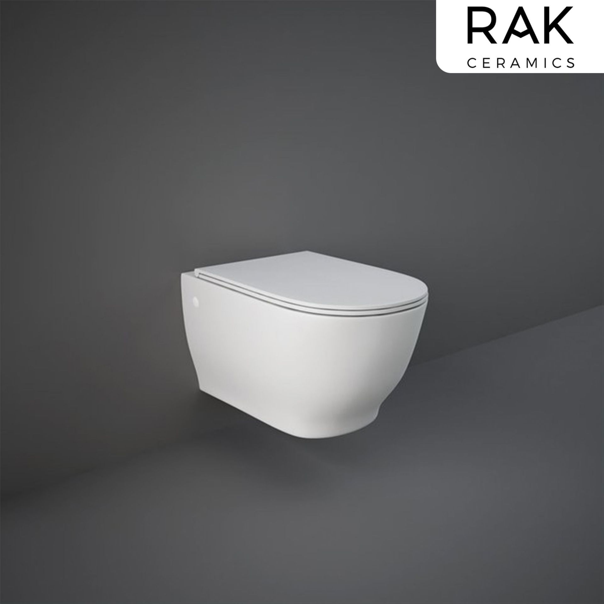 (PT75) RAK Moon Wall Hung Toilet WRAS approved flush mechanism Anti-scratch soft close toilet seat