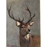 " Red Deer Stag" Original Signed Oil By Scottish Artist Peter Munro