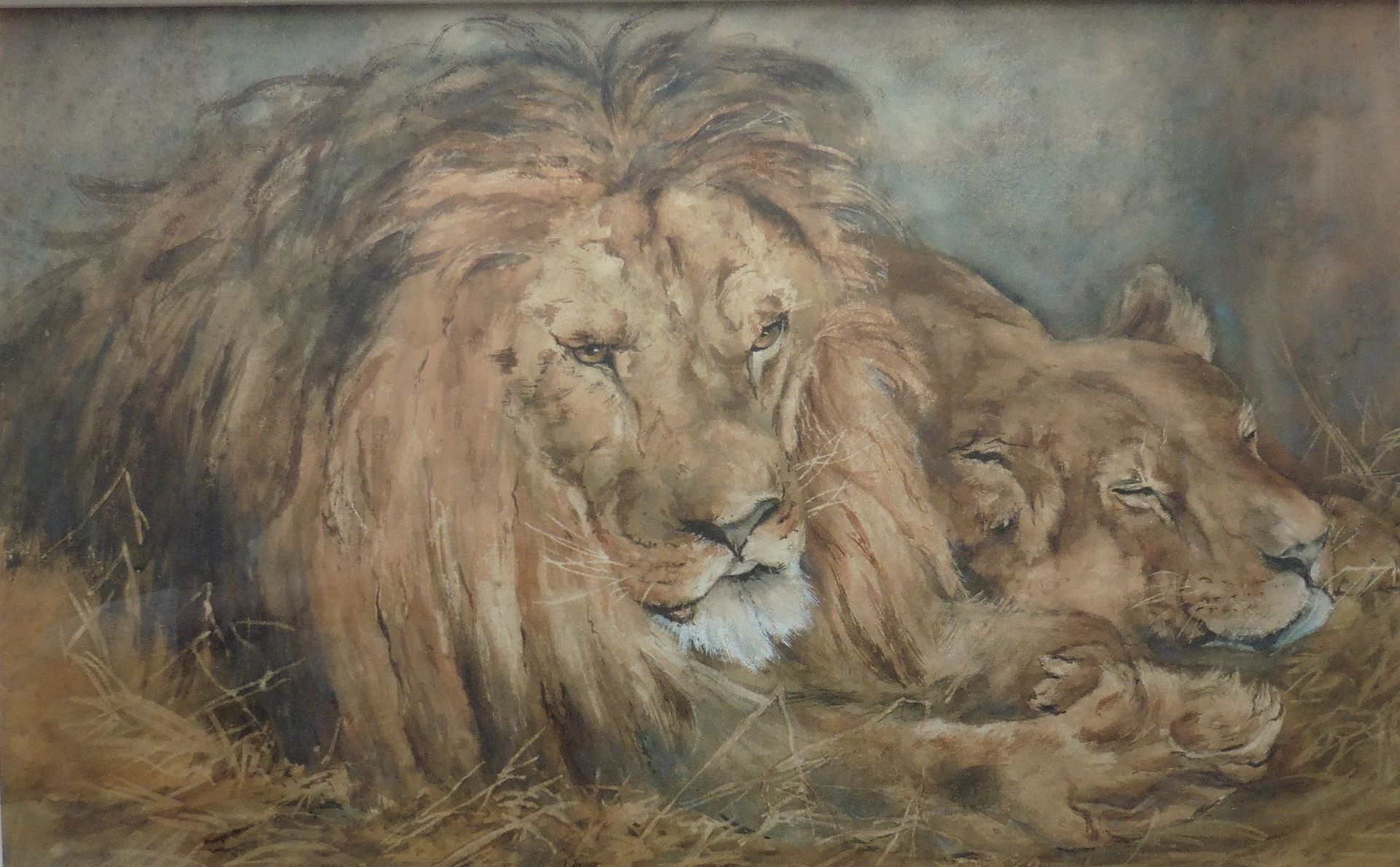 Briton Rivière 1840 - 1920 Large Signed Watercolour Lion And Lioness Resting - Image 4 of 6