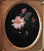 James Stuart Park 1862-1933, Oil On Canvas “Pink Roses”