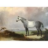 Mid Victorian Oil Depicting A Dapple Grey Horse At Waters Edge With Ducks In Flight