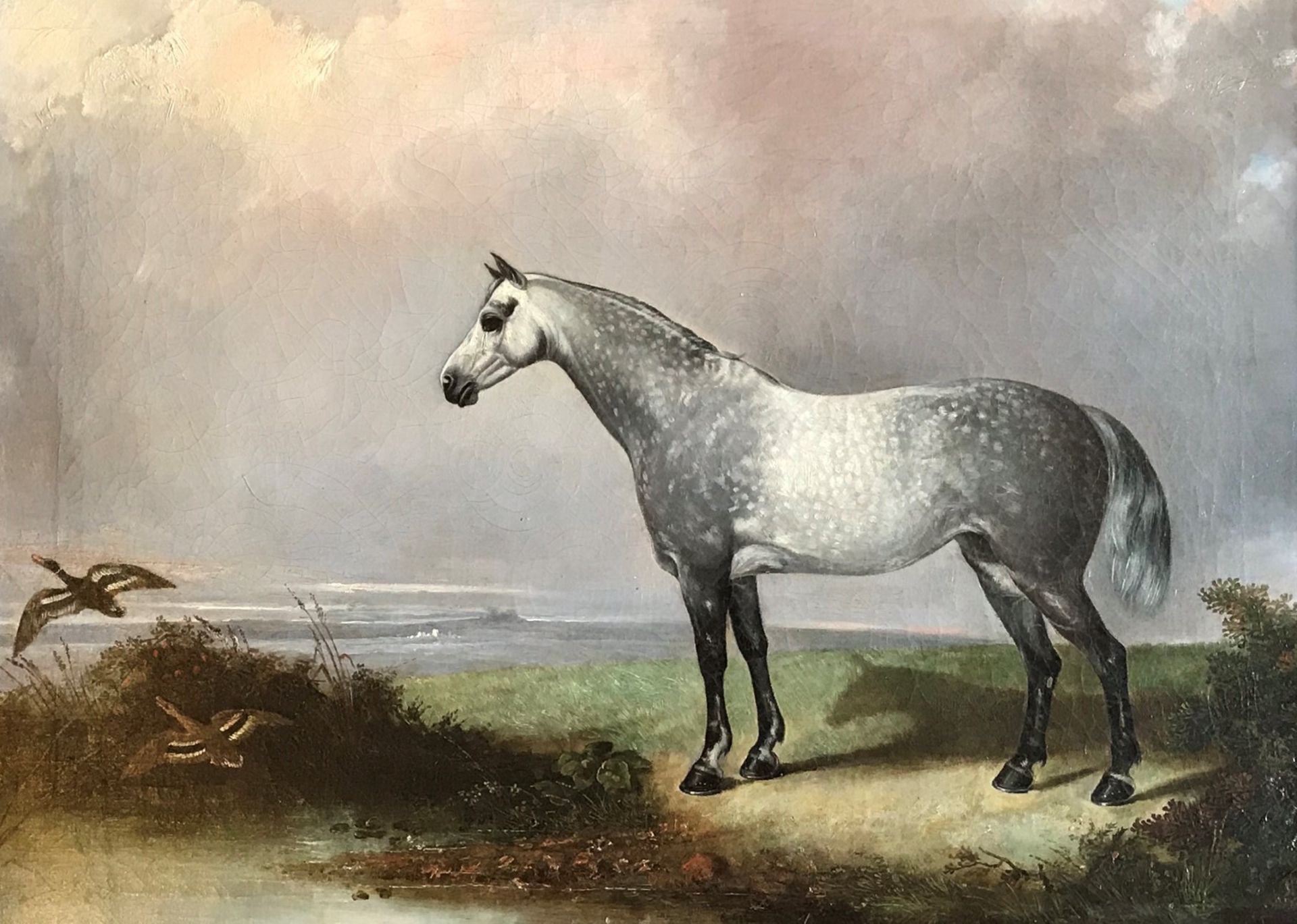 Mid Victorian Oil Depicting A Dapple Grey Horse At Waters Edge With Ducks In Flight