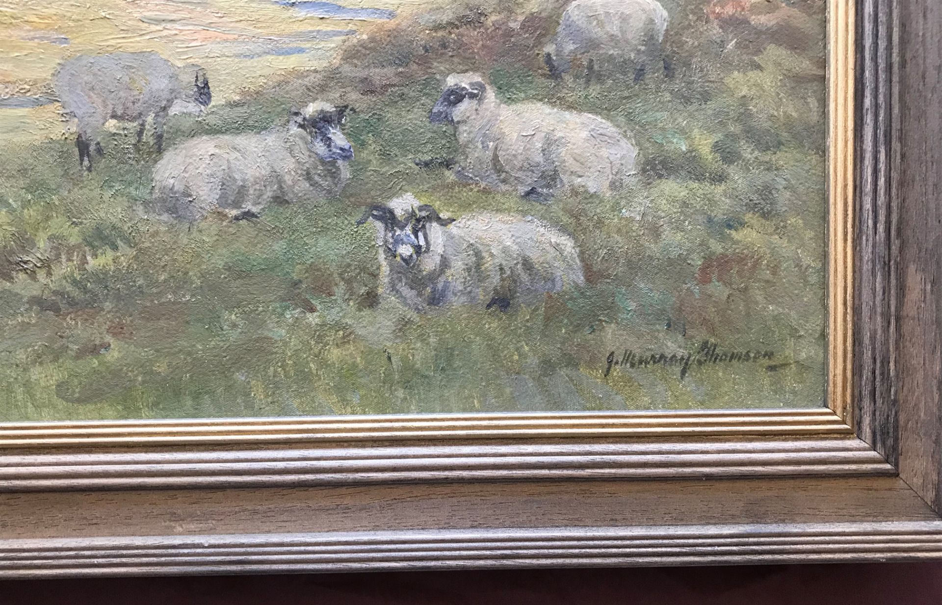 John Murray Thomson 1885-1974 R.S.A, R.S.W, P.S.S.A Sheep On Hillside Grazing - Image 3 of 6