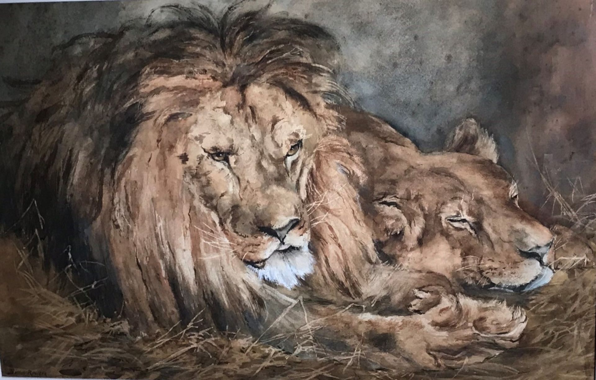 Briton Rivière 1840 - 1920 Large Signed Watercolour Lion And Lioness Resting