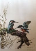 Edwin Penang?  Signed Limited Edition Print "Kingfishers"