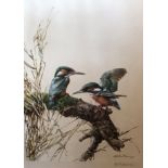 Edwin Penang?  Signed Limited Edition Print "Kingfishers"