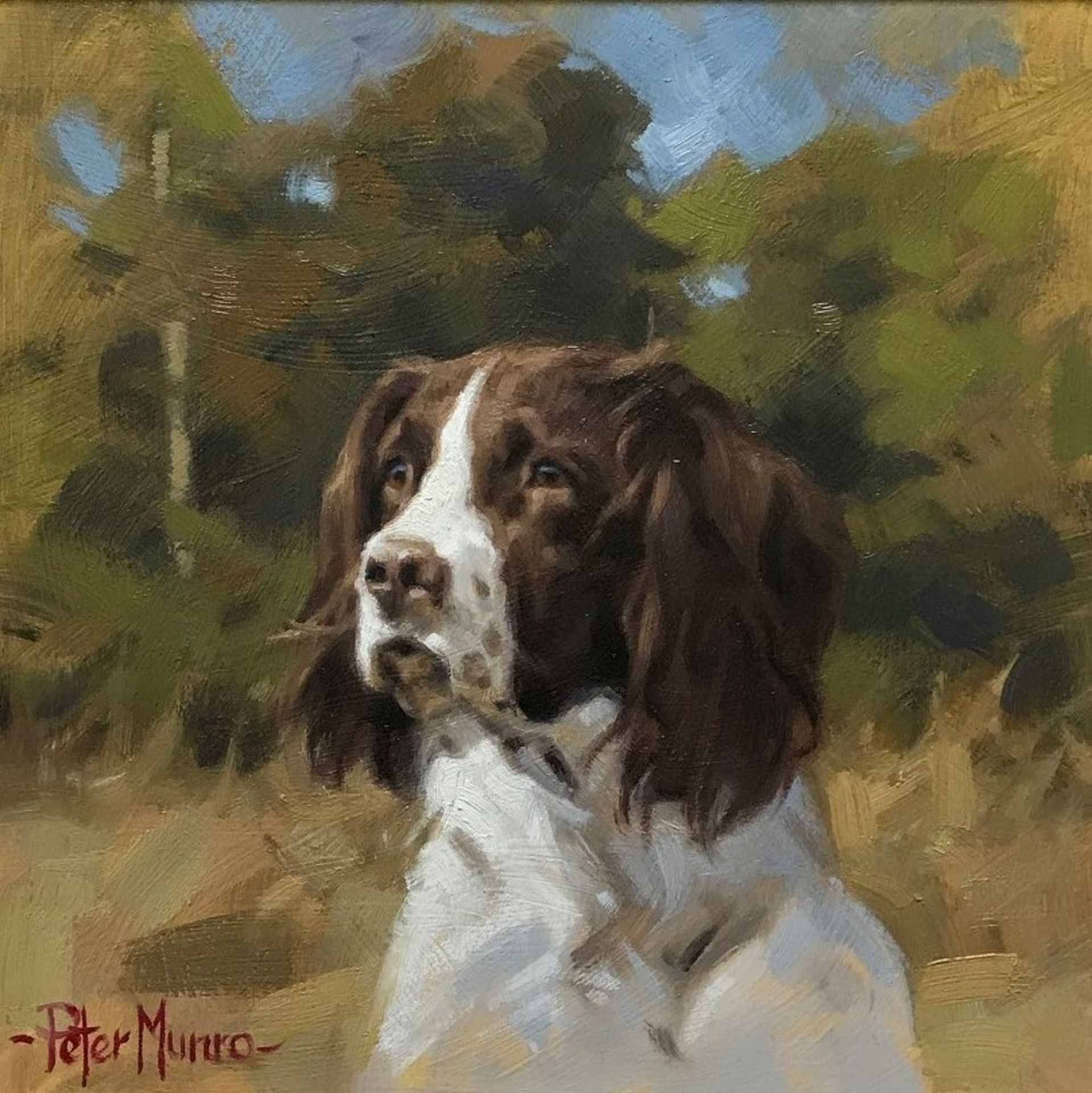 Signed Oil Painting By Peter Munro  " Spaniel"