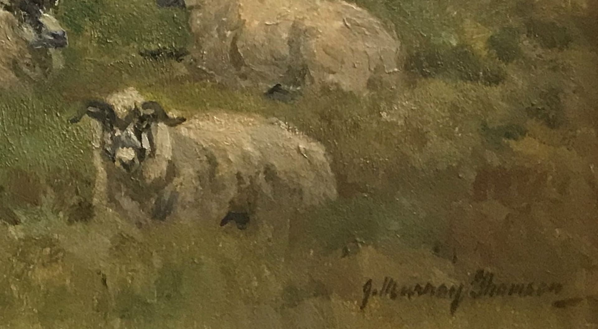 John Murray Thomson 1885-1974 R.S.A, R.S.W, P.S.S.A Sheep On Hillside Grazing - Image 5 of 6