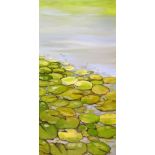 Water Lilies In The Sunlight III. Landscape Oil Painting On Canvas By Artist Lucy Fiona Morrison