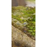 Water Lilies In The Sunlight I. Landscape Oil Painting On Canvas By Artist Lucy Fiona Morrison