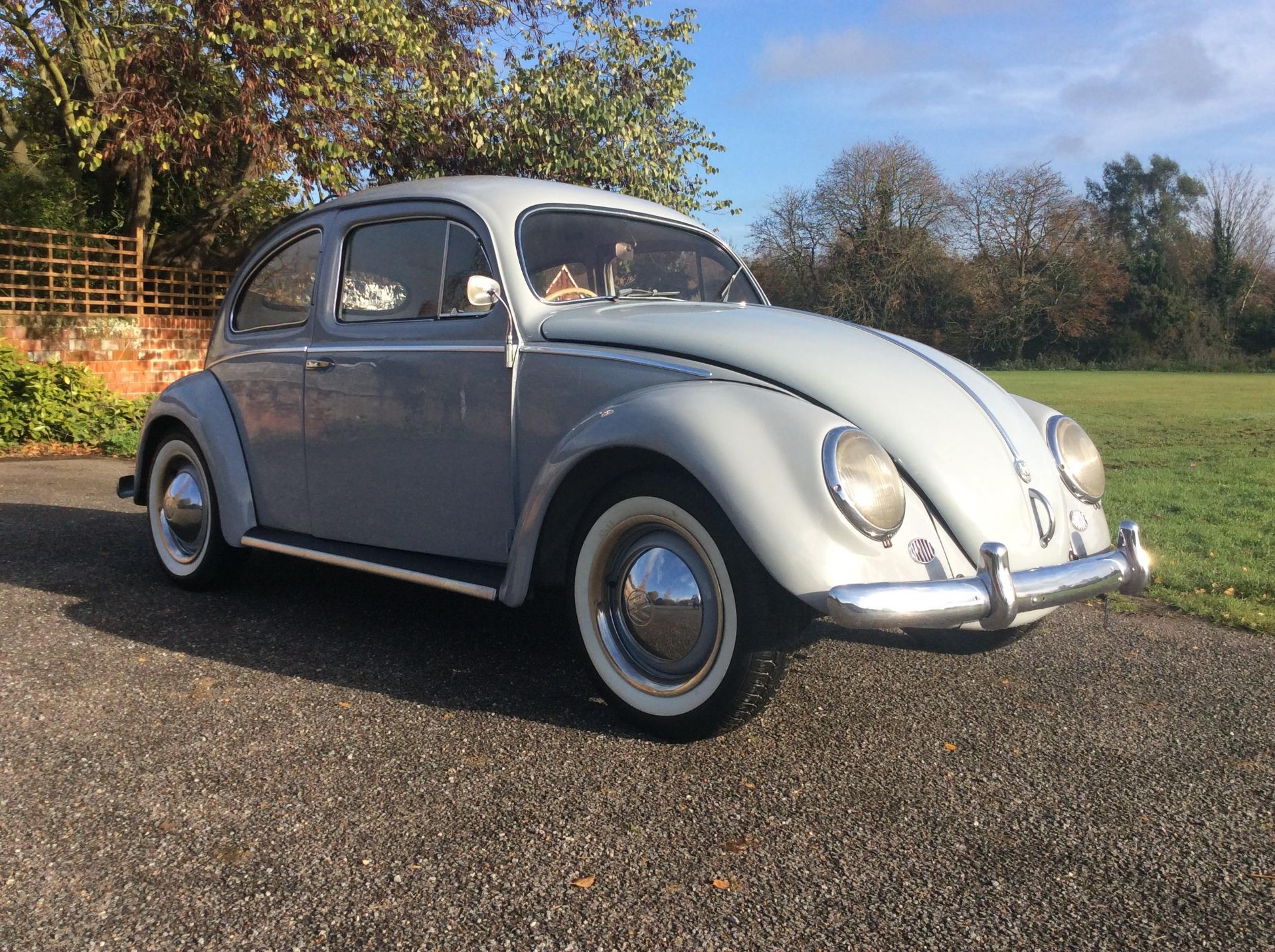 1954 Oval rear window Beetle - Image 3 of 22