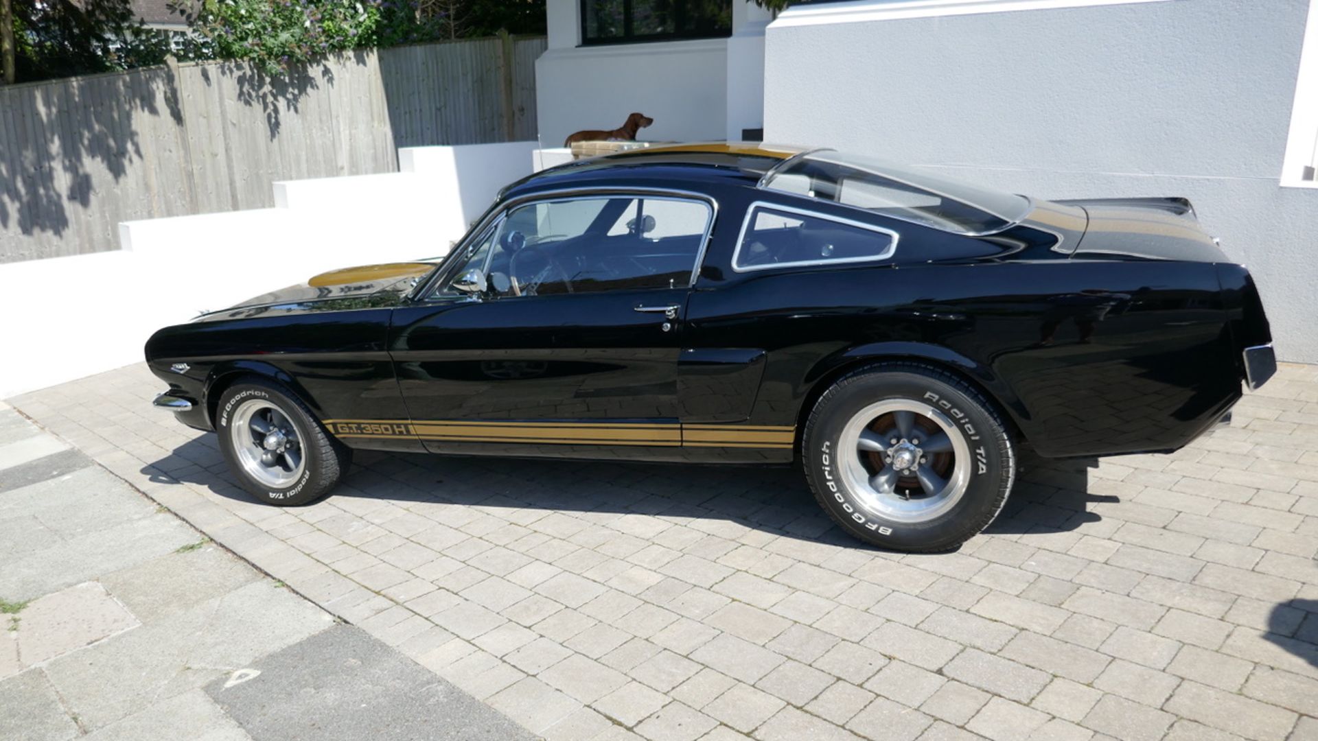 1966 Ford Mustang, Shelby Hertz GT 350 Fastback (Replica) - Image 6 of 19