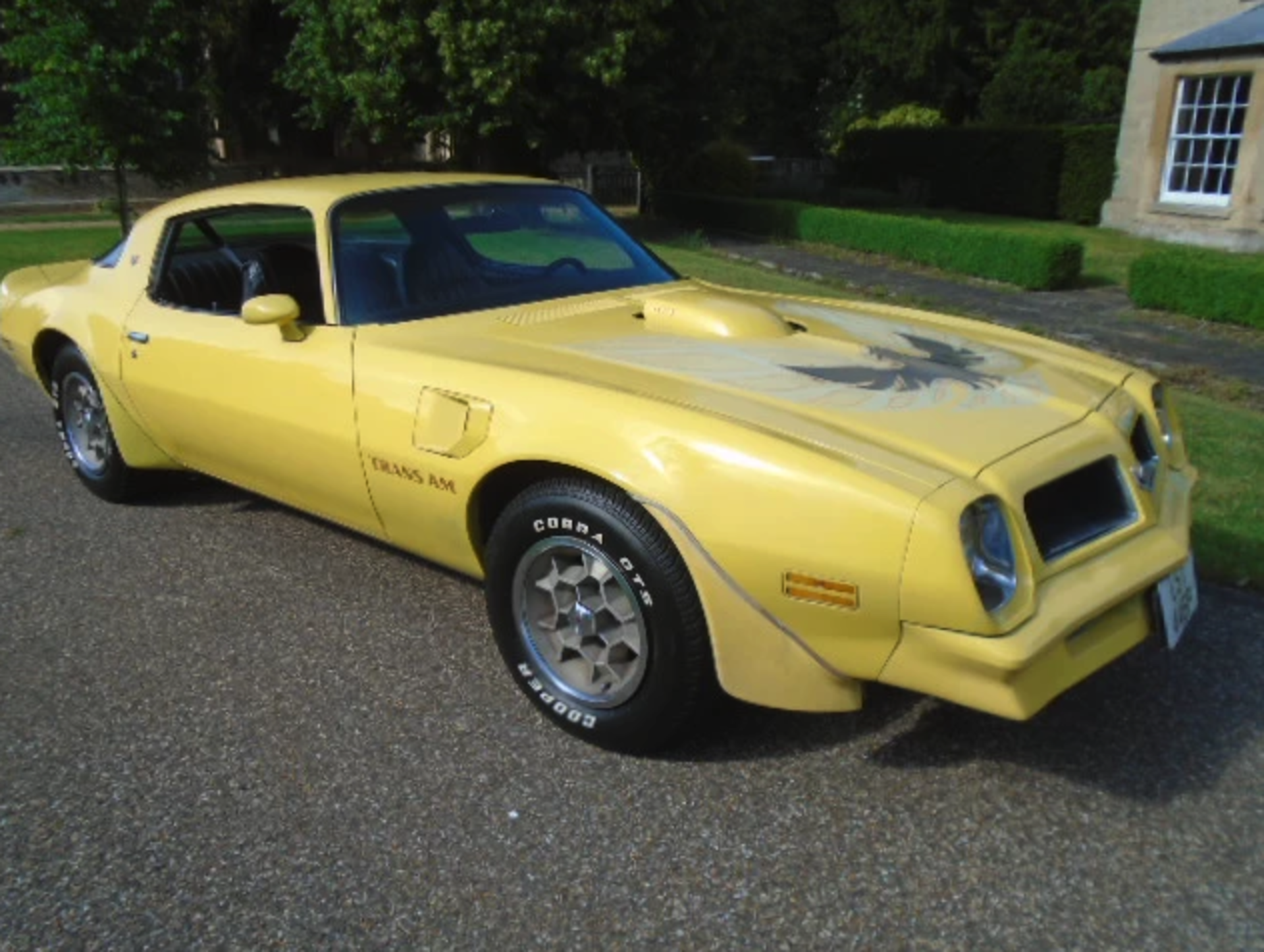 1976 Pontiac Firebird Trans-Am 6.6 Litre