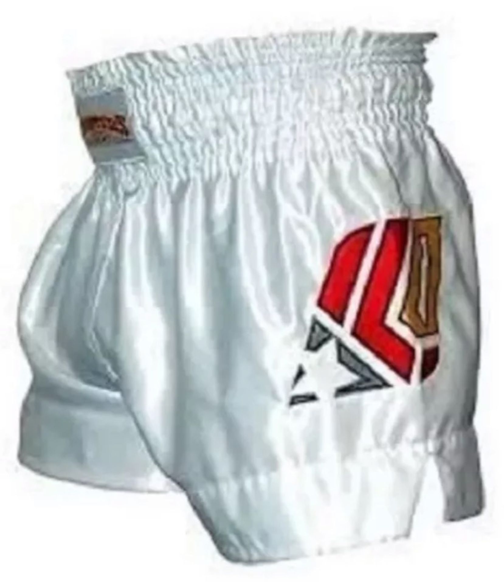 47 Pairs "Fighters Only" Shorts - MMA UFC