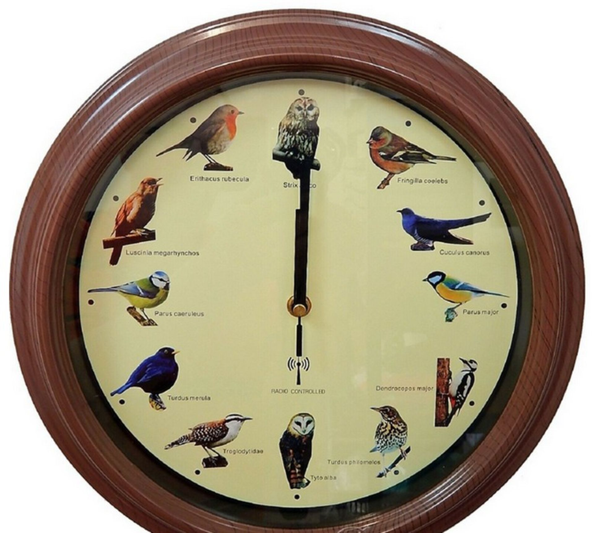 2 X Bird Song Wall Clocks, Bird Sounds On The Hour 32cm