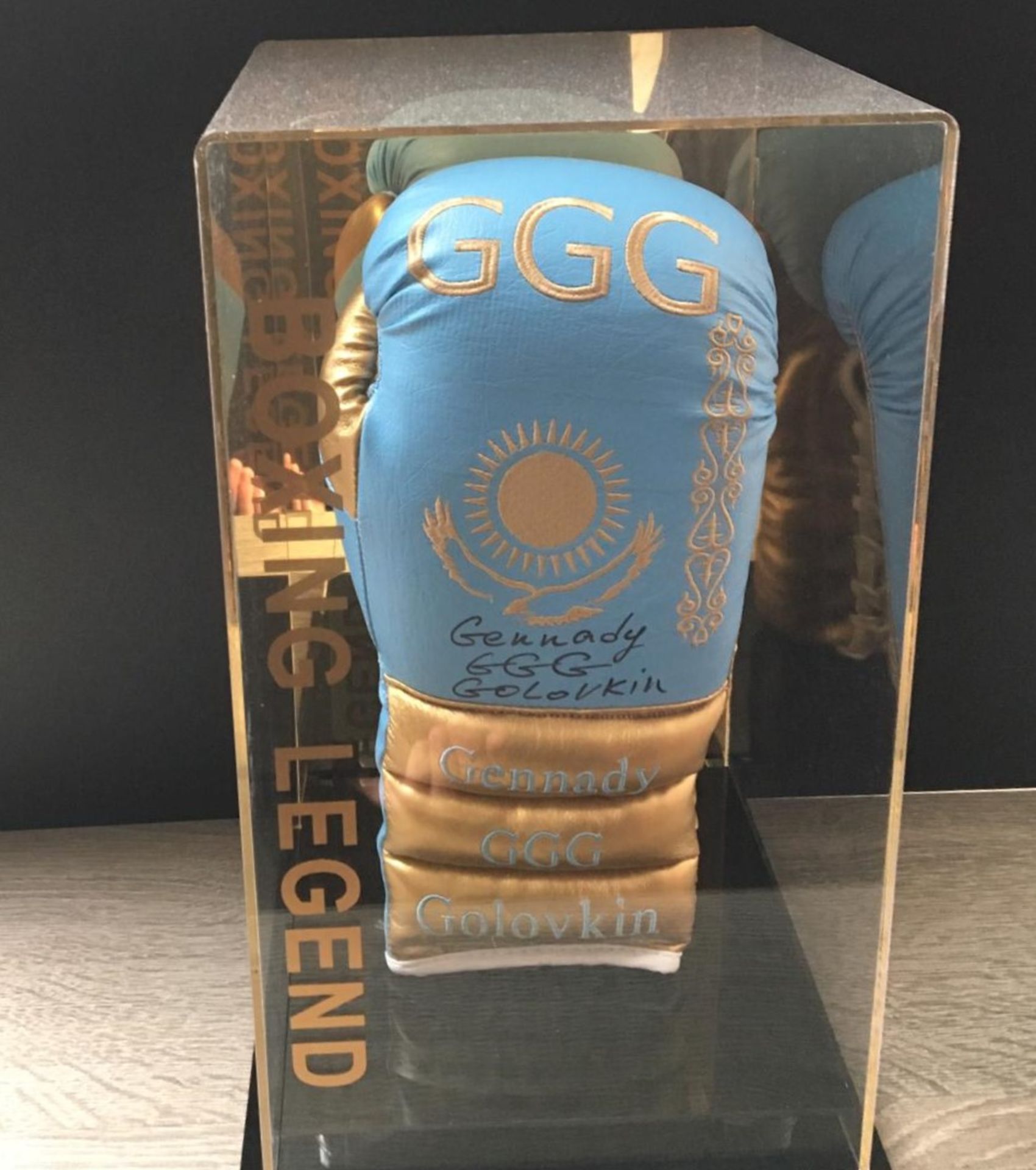 GGG Signed Glove In Display Case