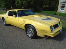 1976 Pontiac Firebird Trans-Am