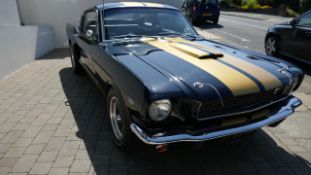 1966 Ford Mustang, Shelby Hertz GT 350 Fastback (Replica)