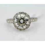 18k White Gold Single Stone With Halo Setting Ring 3.85