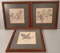 Vintage Art 3 x Pencil Sketch Pictures of Bears & Birds Framed Signed G Shephard. Each picture
