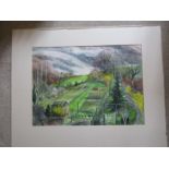 Sonia Handford, contemporary watercolour, signed lower right, unframed. 13 ½’ x 18 ½’
