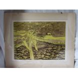 Robert Barnes, contemporary etching, ‘Winter Earth’ ’74. Signed, titled and numbered 27/30