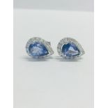 14Ct White Gold Sapphire & Diamond Earrings.
