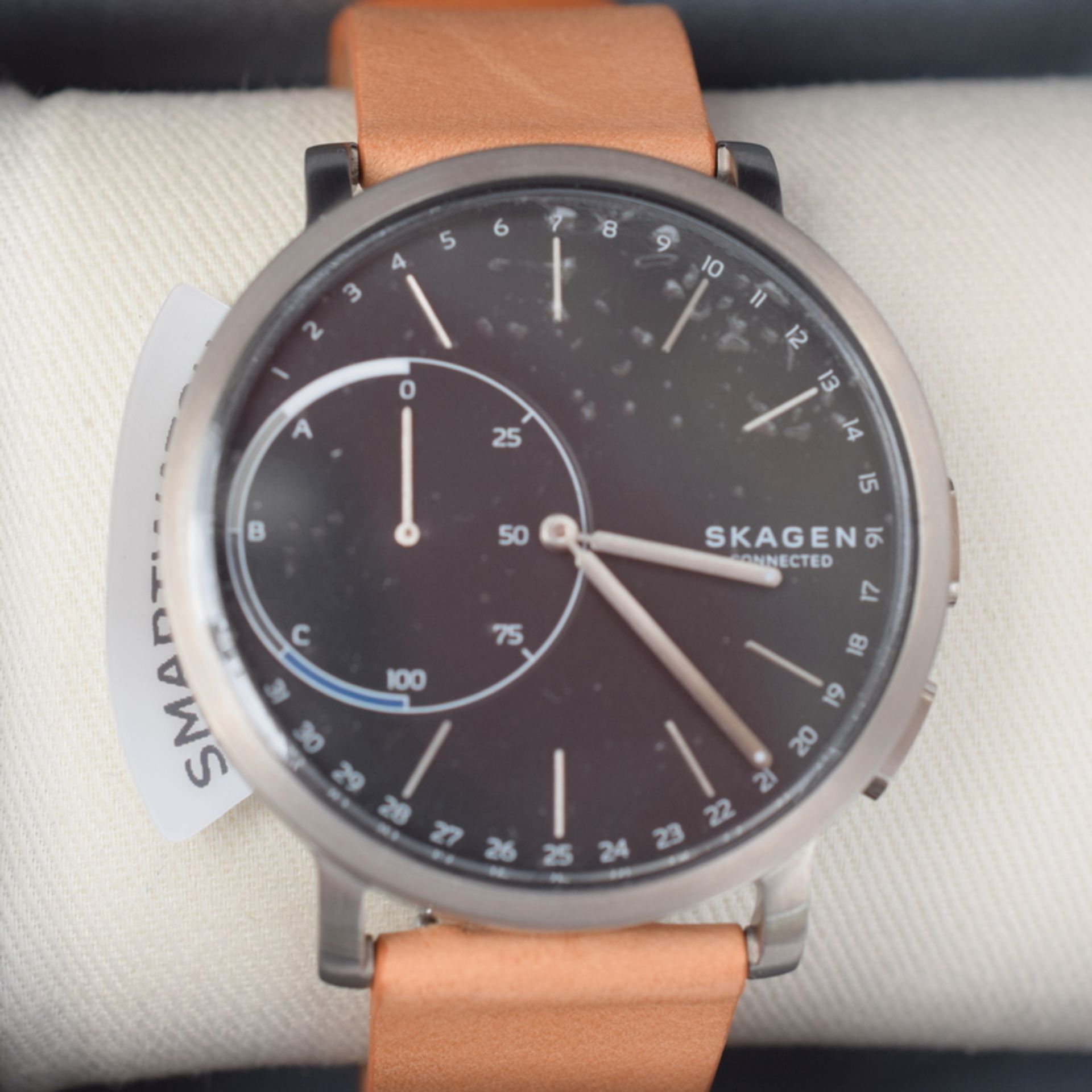 Skagen Smart Watch