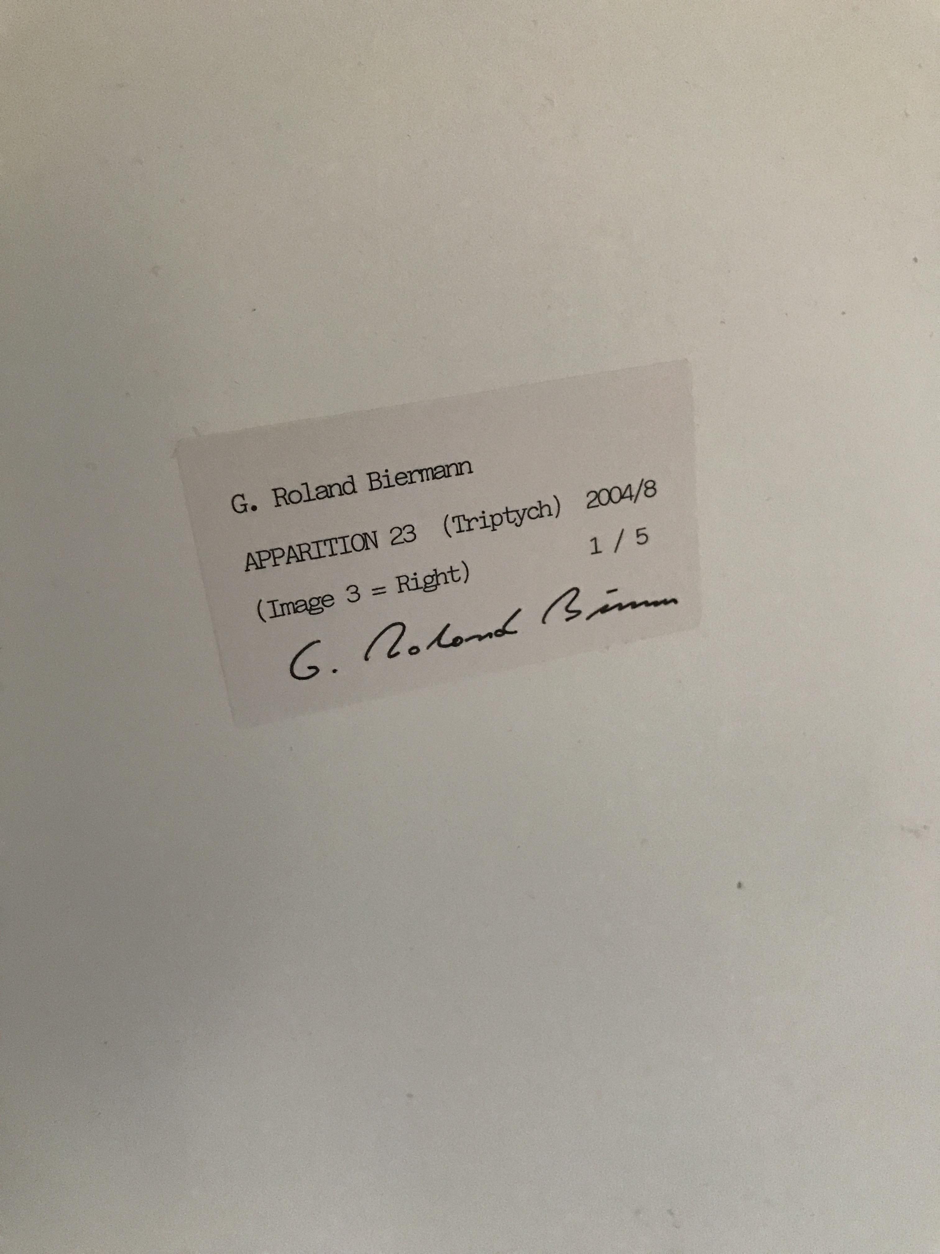 G Roland Biermann Apparition 23 - Image 9 of 11