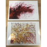 Two Debbie Warrener limited edition signed prints.