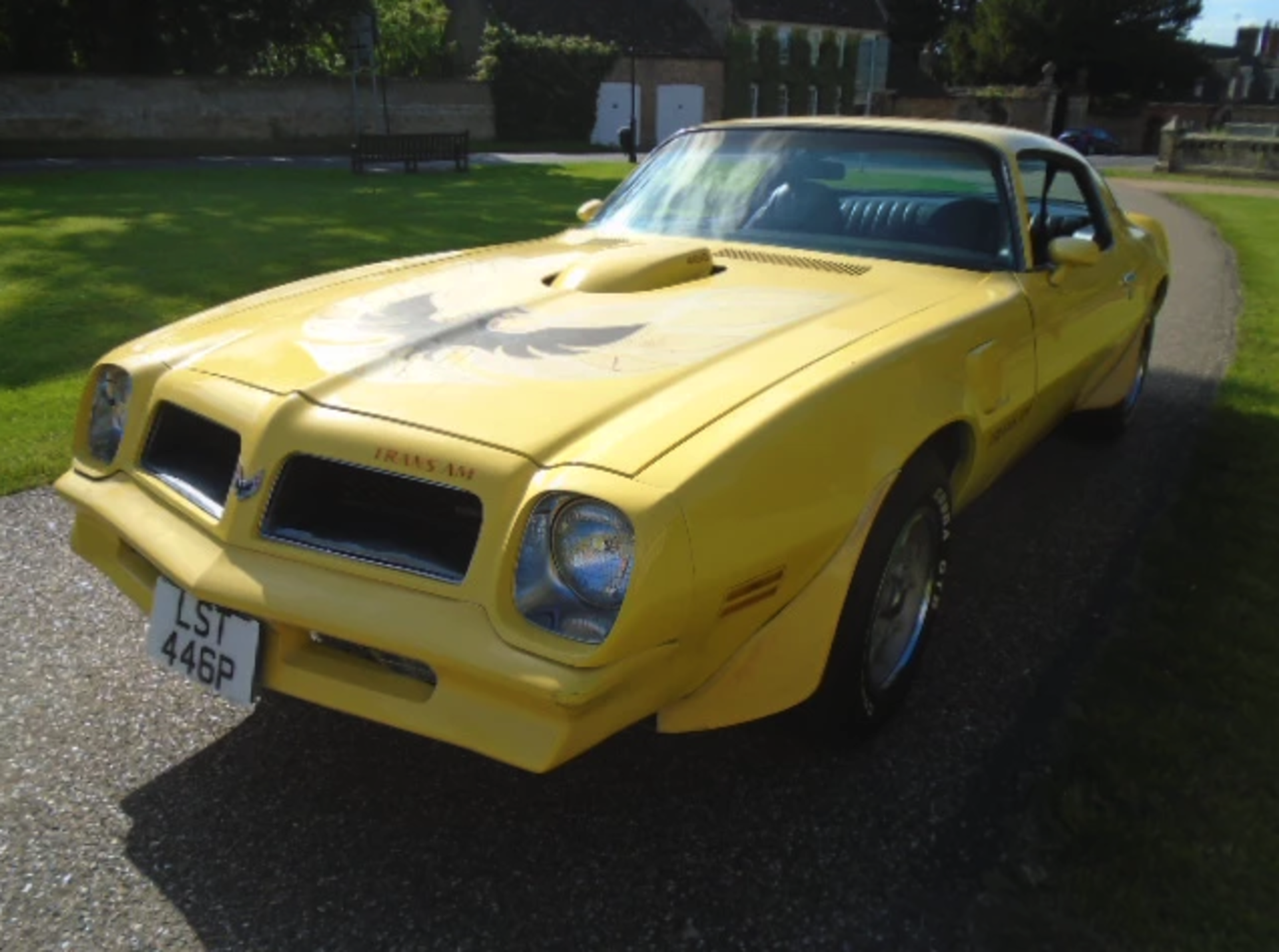 1976 Pontiac Firebird Trans-Am