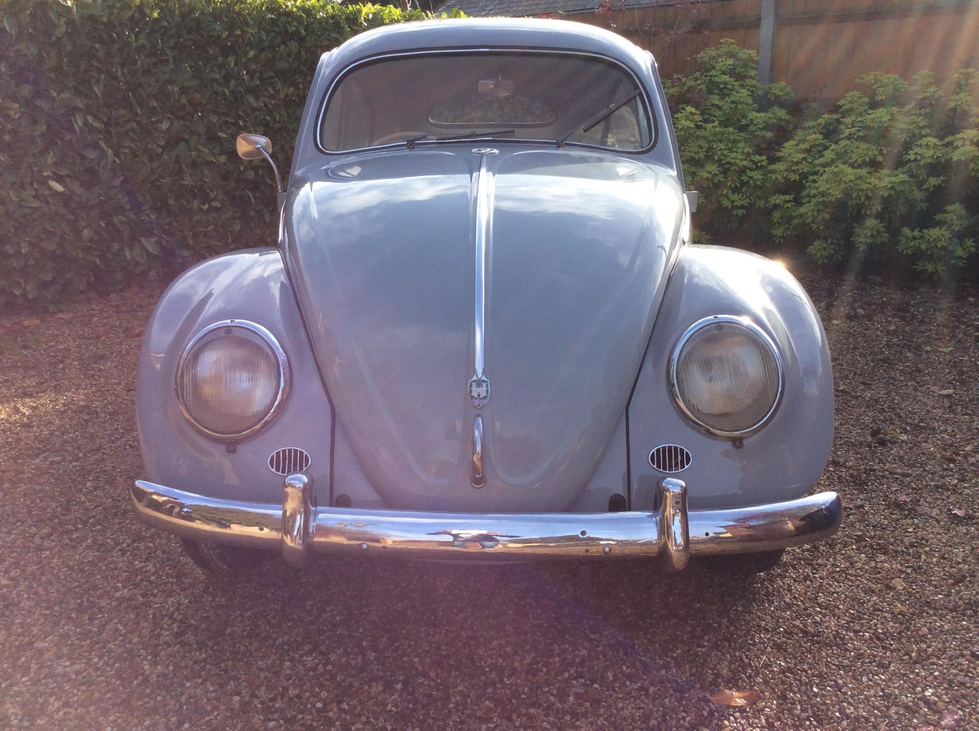 1954 Oval rear window Beetle - Image 3 of 22