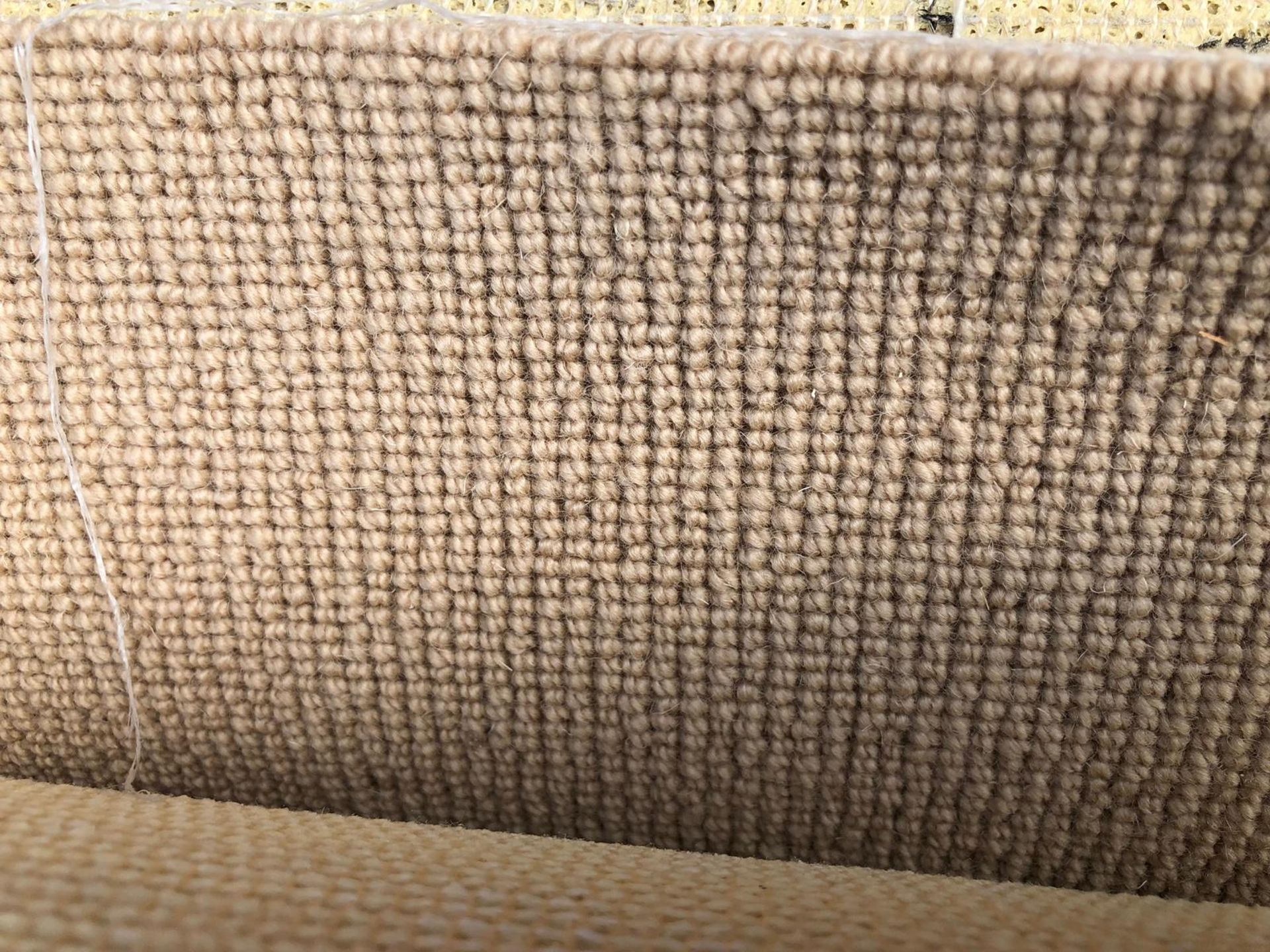 Beige Twist Very Large 7.8M x4M