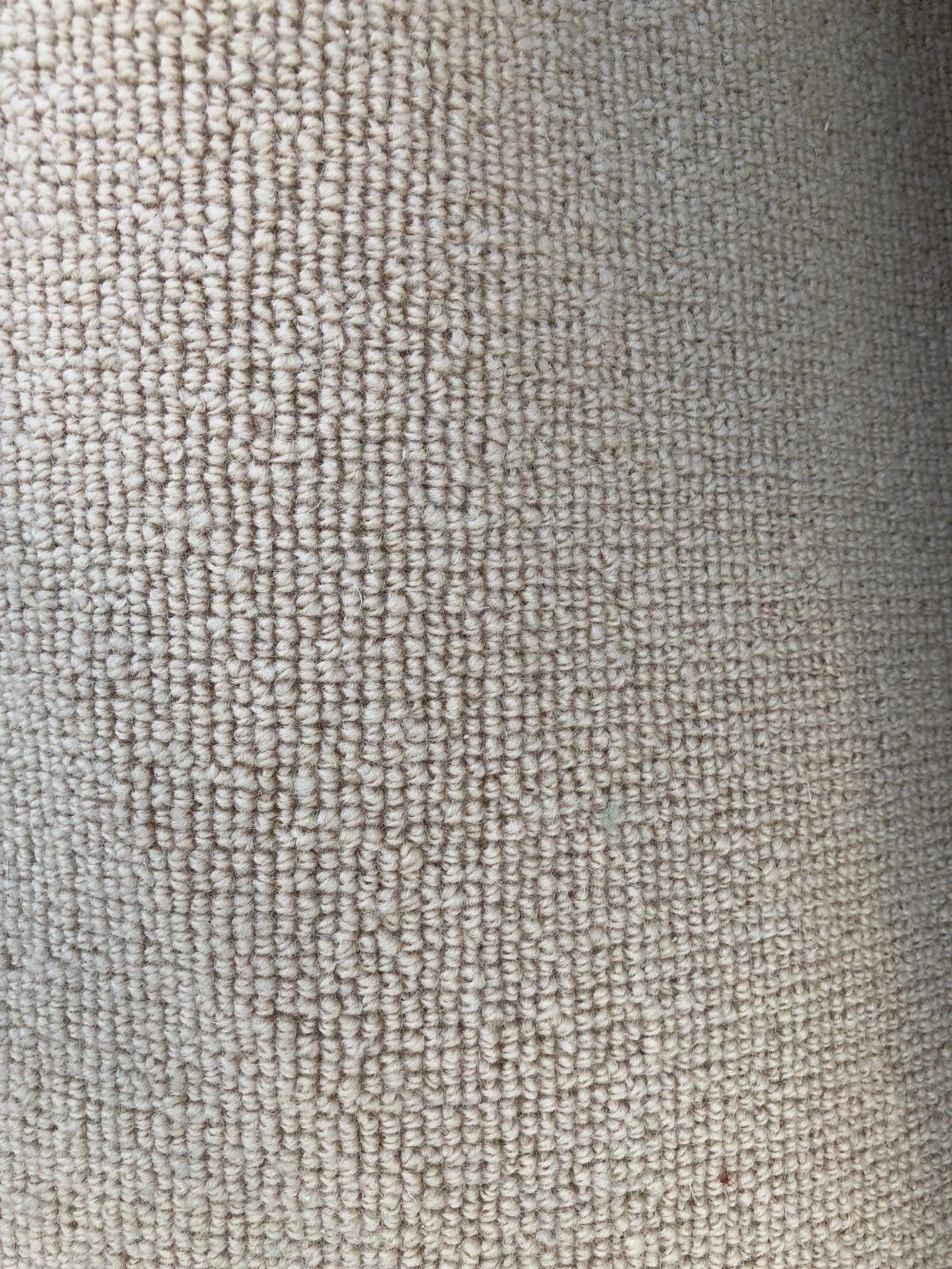 Beige Wool Twist 4M x 3.4M