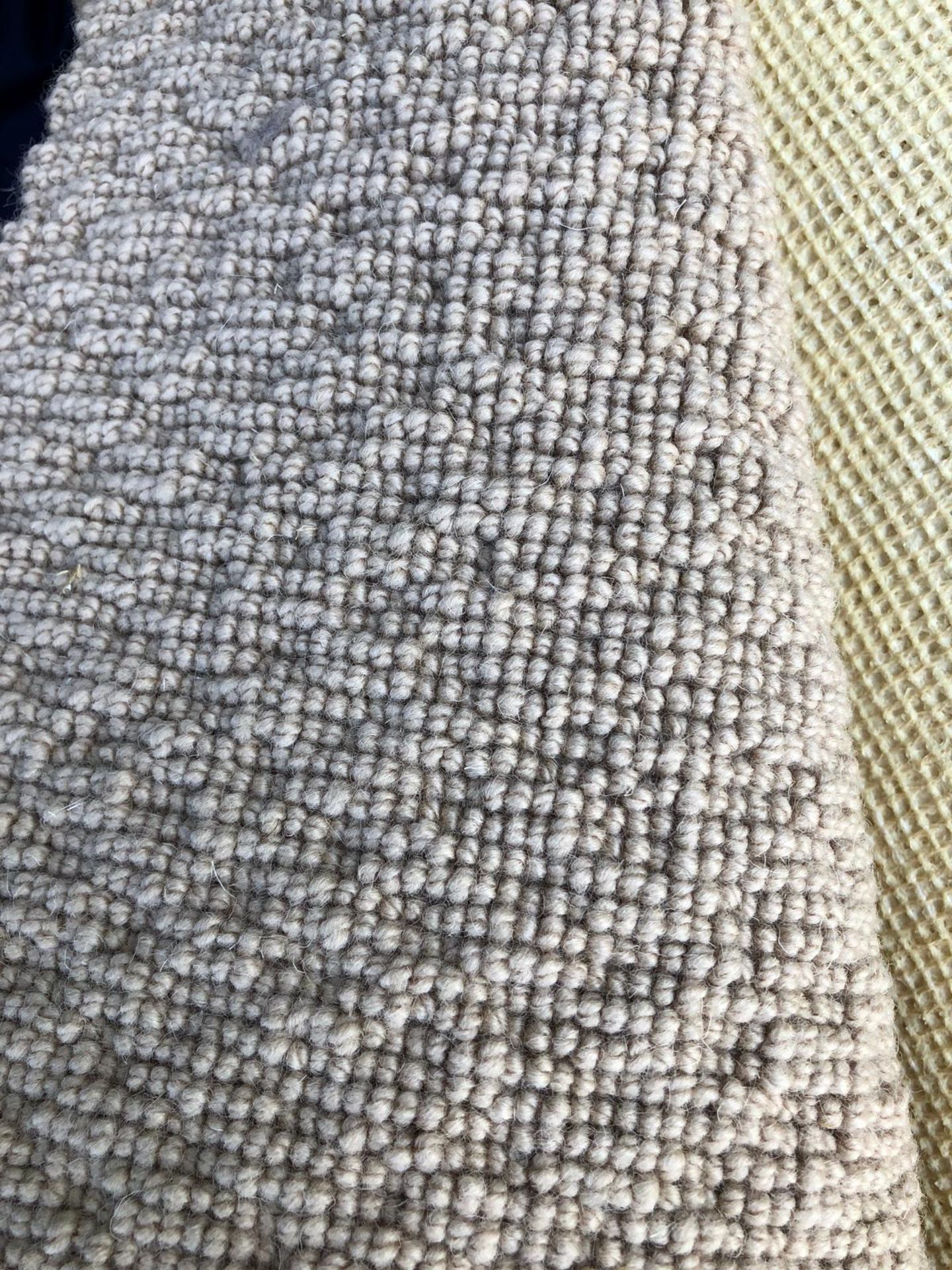 Beige Twist Wool 7. 9M x 4M