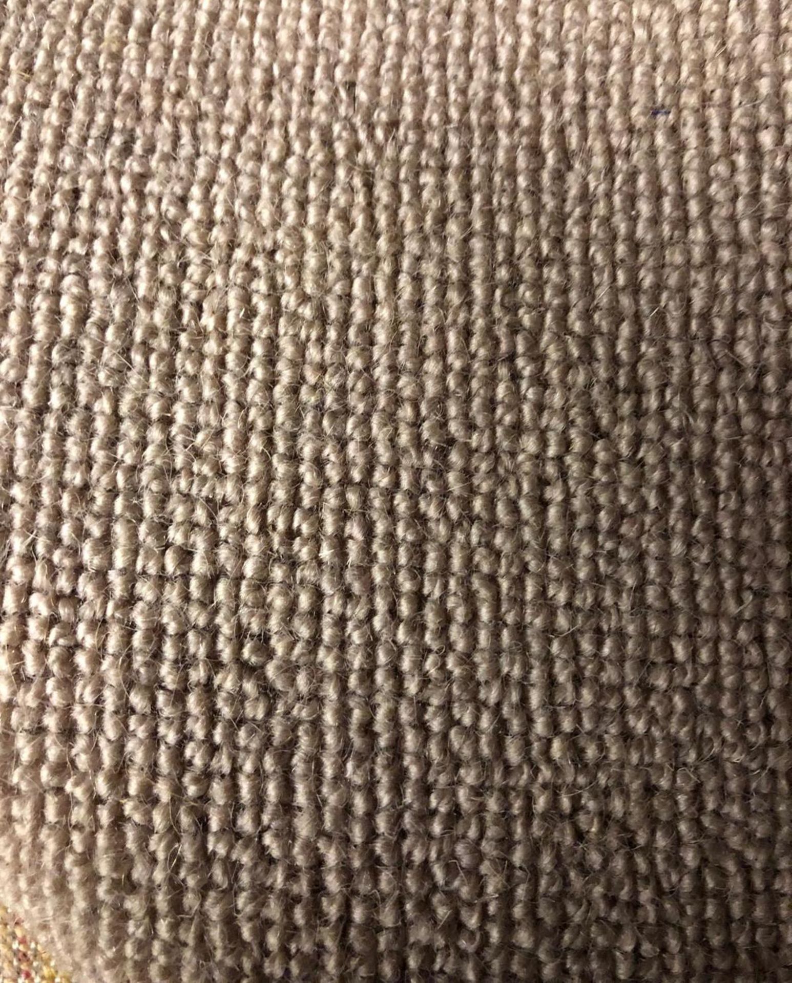 Plain Beige Loop Wool Runner 10.57 X 0.69M